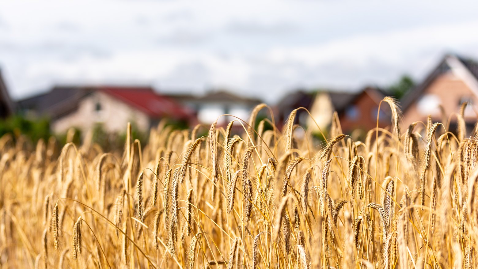 Landwirtschaft in der Samtgemeinde Apensen