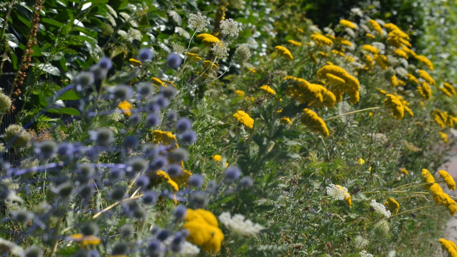 Natur rund um Apensen